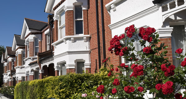 Terraced Houses